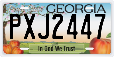 GA license plate PXJ2447