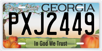 GA license plate PXJ2449