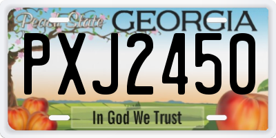 GA license plate PXJ2450