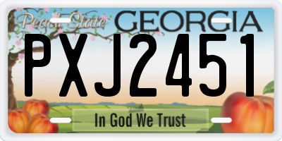 GA license plate PXJ2451