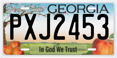 GA license plate PXJ2453