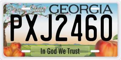 GA license plate PXJ2460