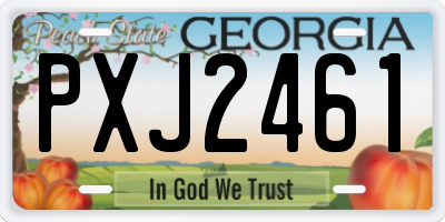 GA license plate PXJ2461