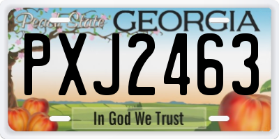 GA license plate PXJ2463