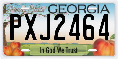 GA license plate PXJ2464