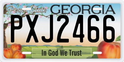 GA license plate PXJ2466