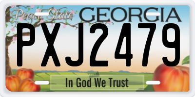 GA license plate PXJ2479