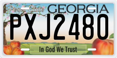 GA license plate PXJ2480