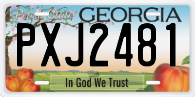 GA license plate PXJ2481