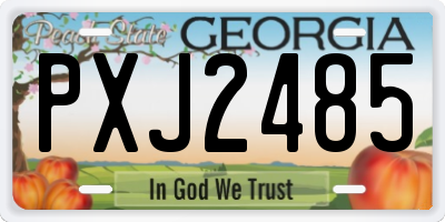 GA license plate PXJ2485