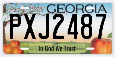GA license plate PXJ2487