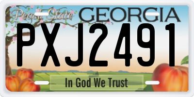 GA license plate PXJ2491