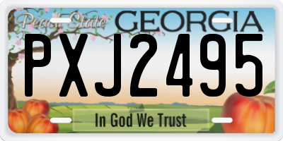 GA license plate PXJ2495