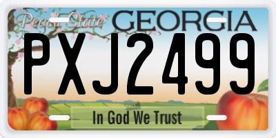 GA license plate PXJ2499