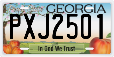 GA license plate PXJ2501