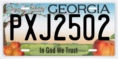 GA license plate PXJ2502