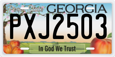 GA license plate PXJ2503