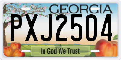 GA license plate PXJ2504