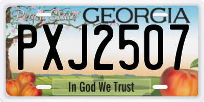 GA license plate PXJ2507