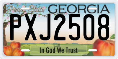GA license plate PXJ2508