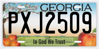 GA license plate PXJ2509