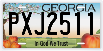 GA license plate PXJ2511