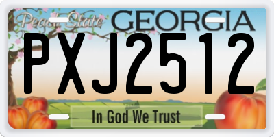 GA license plate PXJ2512