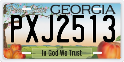 GA license plate PXJ2513