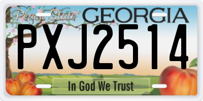 GA license plate PXJ2514