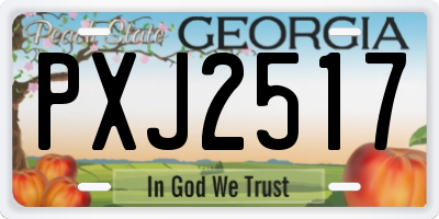 GA license plate PXJ2517
