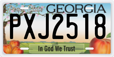 GA license plate PXJ2518
