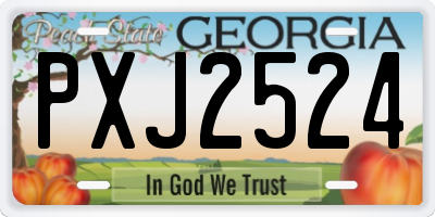 GA license plate PXJ2524