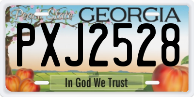 GA license plate PXJ2528