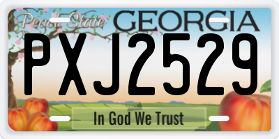 GA license plate PXJ2529