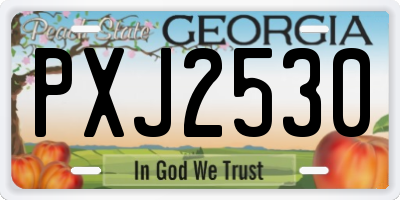 GA license plate PXJ2530