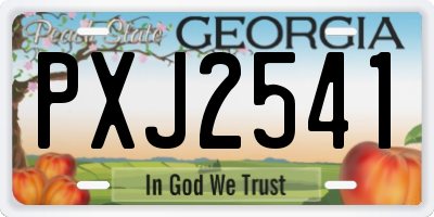 GA license plate PXJ2541