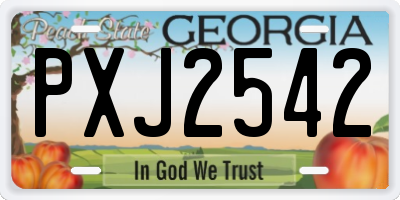 GA license plate PXJ2542