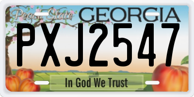 GA license plate PXJ2547