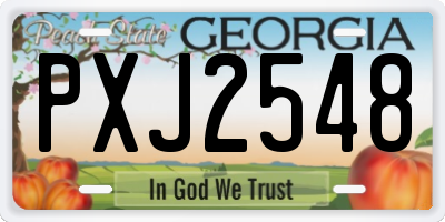 GA license plate PXJ2548