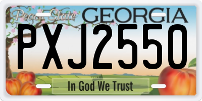 GA license plate PXJ2550