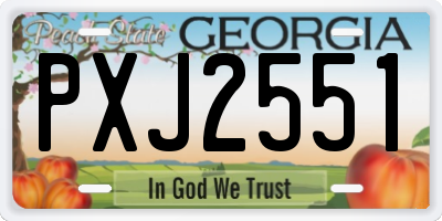 GA license plate PXJ2551