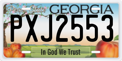 GA license plate PXJ2553