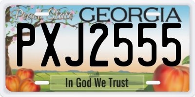 GA license plate PXJ2555