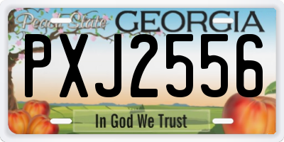 GA license plate PXJ2556