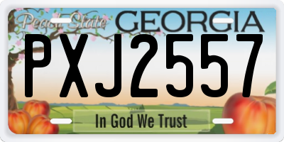 GA license plate PXJ2557