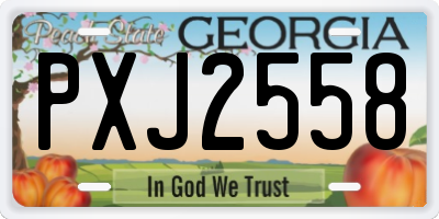 GA license plate PXJ2558