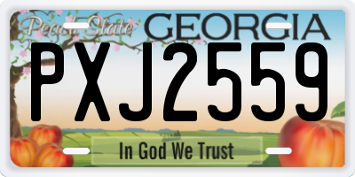 GA license plate PXJ2559