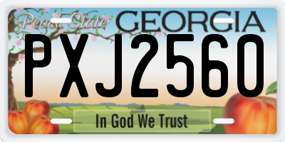 GA license plate PXJ2560