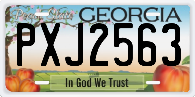 GA license plate PXJ2563