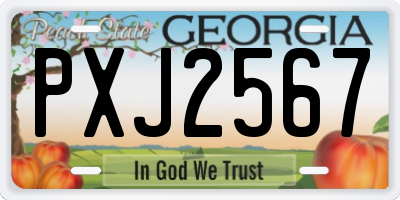 GA license plate PXJ2567